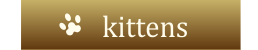 kittens_button